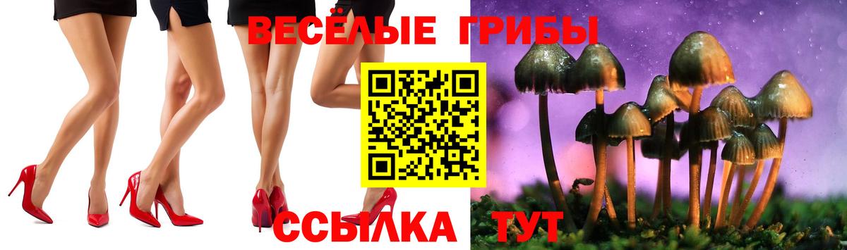 Шебекино  Галлюциногенные грибы Cubensis  наркошоп  Вход с VPN 
