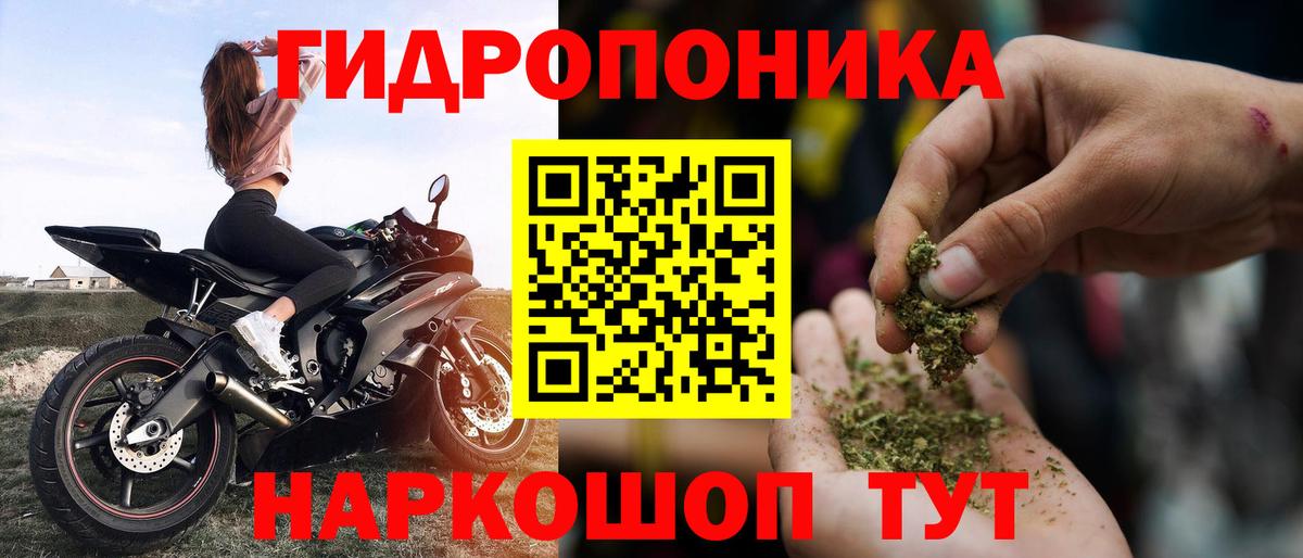 Бошки Шишки семена Шебекино